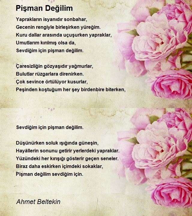 Ahmet Beltekin