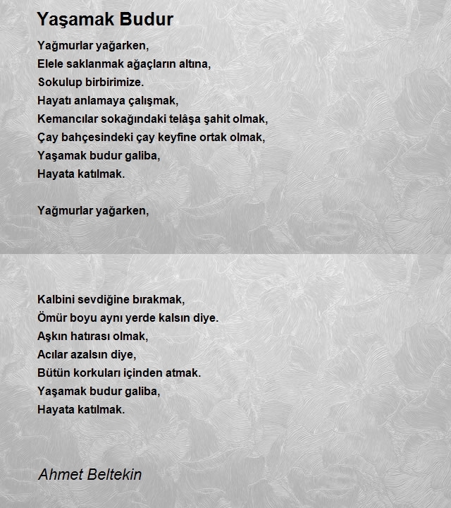 Ahmet Beltekin