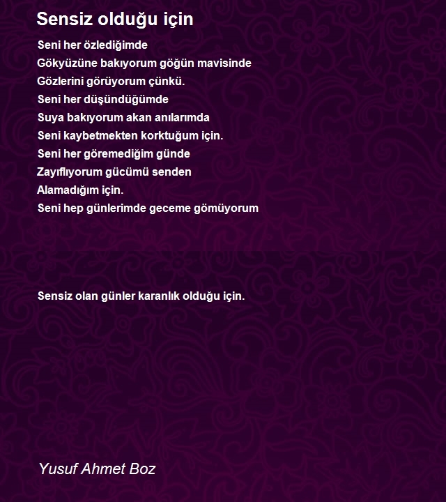 Yusuf Ahmet Boz