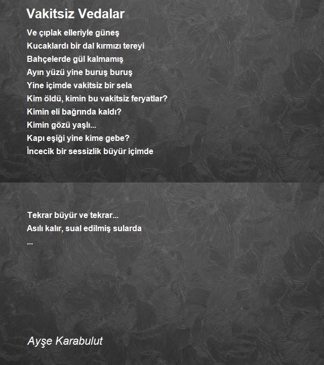 Ayşe Karabulut