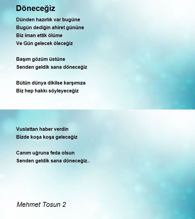 Mehmet Tosun 2