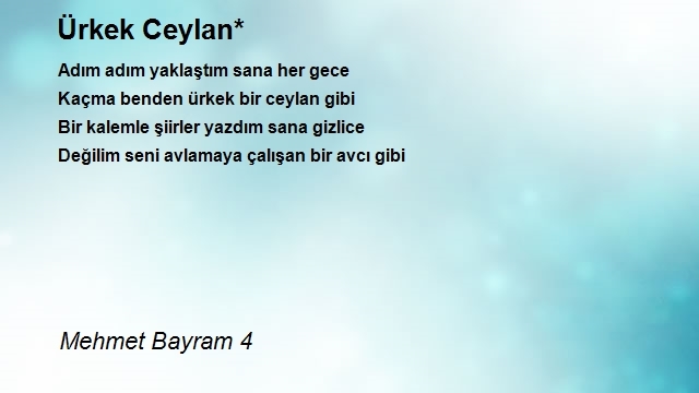 Mehmet Bayram 4