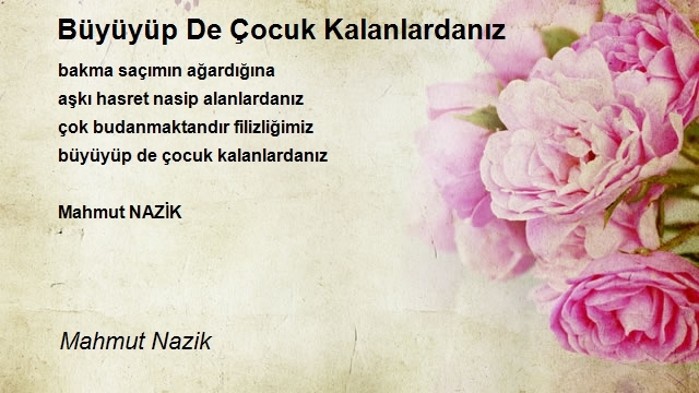 Mahmut Nazik