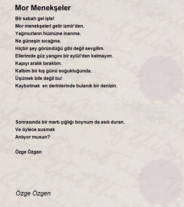 Özge Özgen