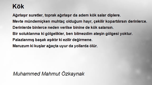 Muhammed Mahmut Özkaynak