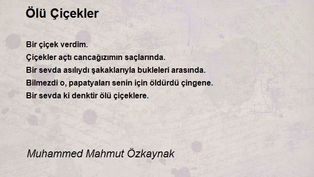 Muhammed Mahmut Özkaynak