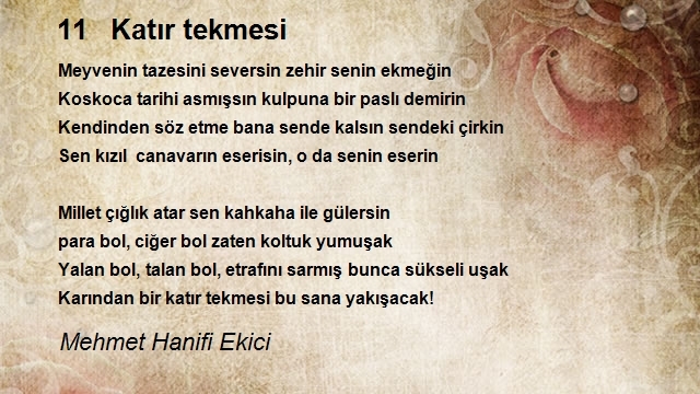 Mehmet Hanifi Ekici