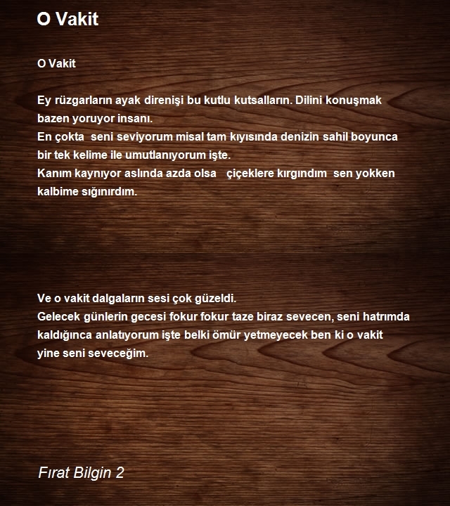 Fırat Bilgin 2