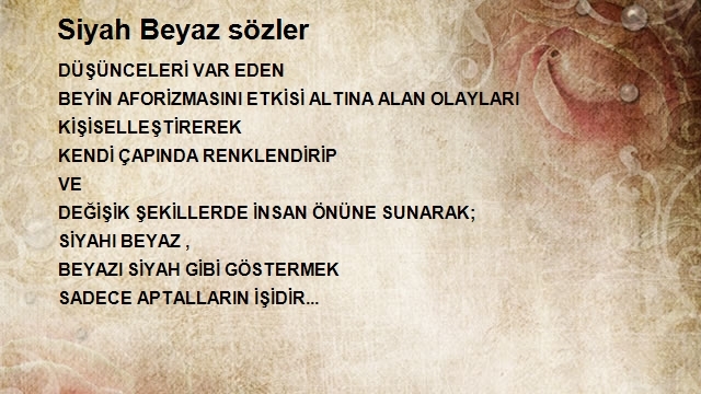 Ayfer Turan