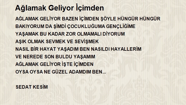 Sedat Kesim