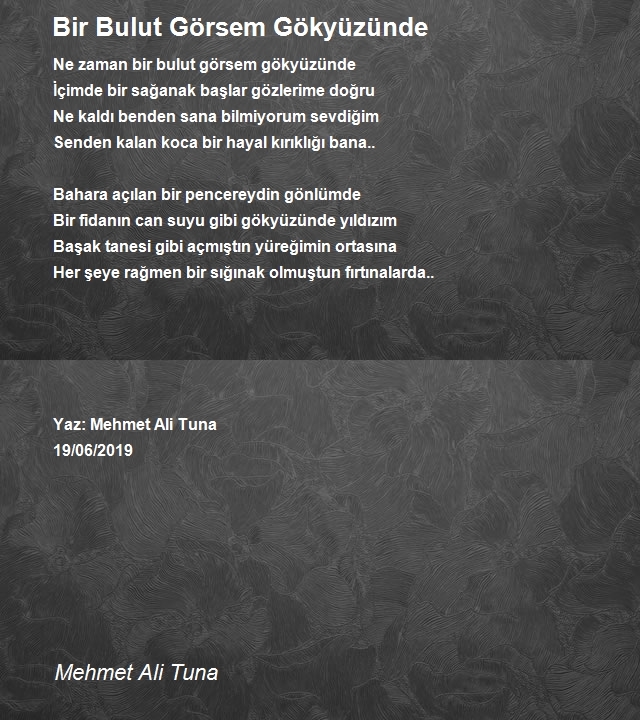 Mehmet Ali Tuna