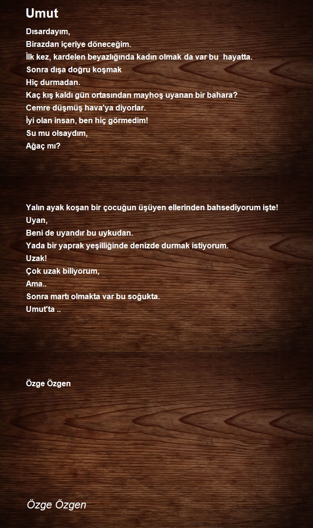 Özge Özgen