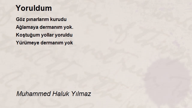 Muhammed Haluk Yılmaz