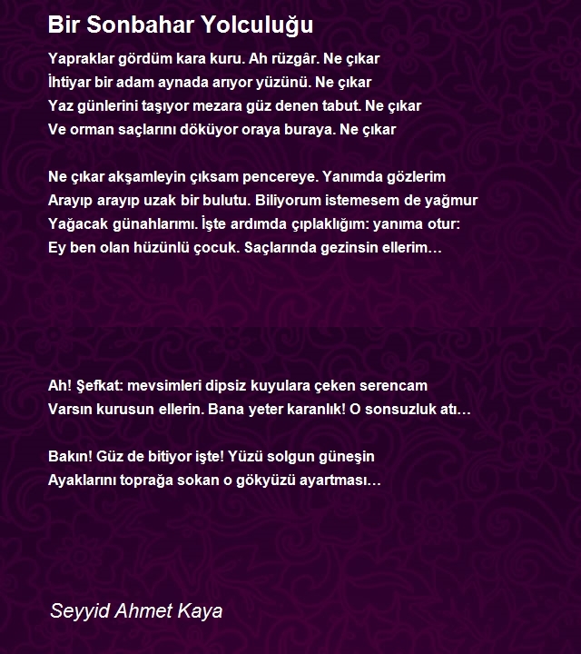 Seyyid Ahmet Kaya