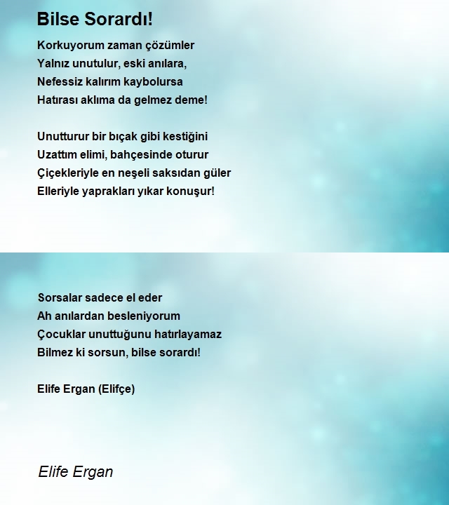 Elife Ergan