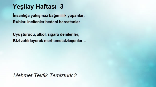 Mehmet Tevfik Temiztürk 2