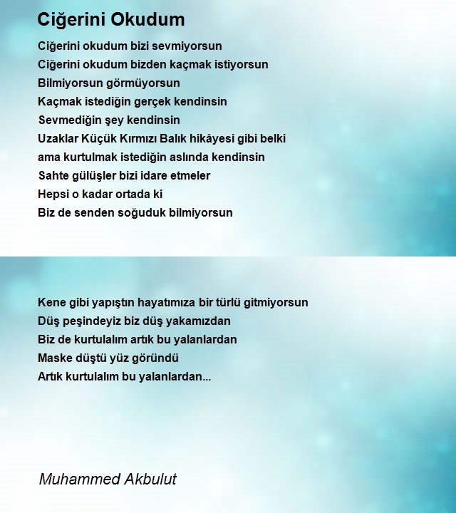 Muhammed Akbulut