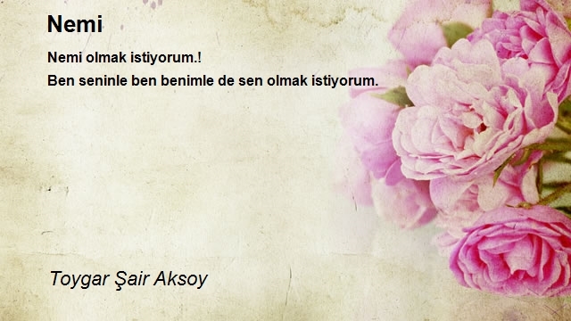 Toygar Şair Aksoy