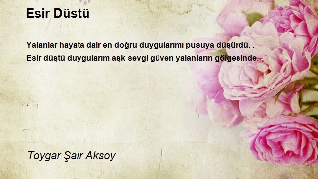 Toygar Şair Aksoy