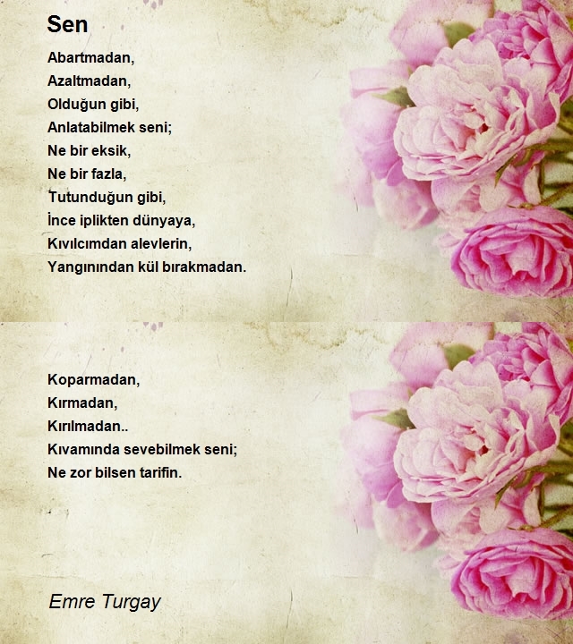 Emre Turgay