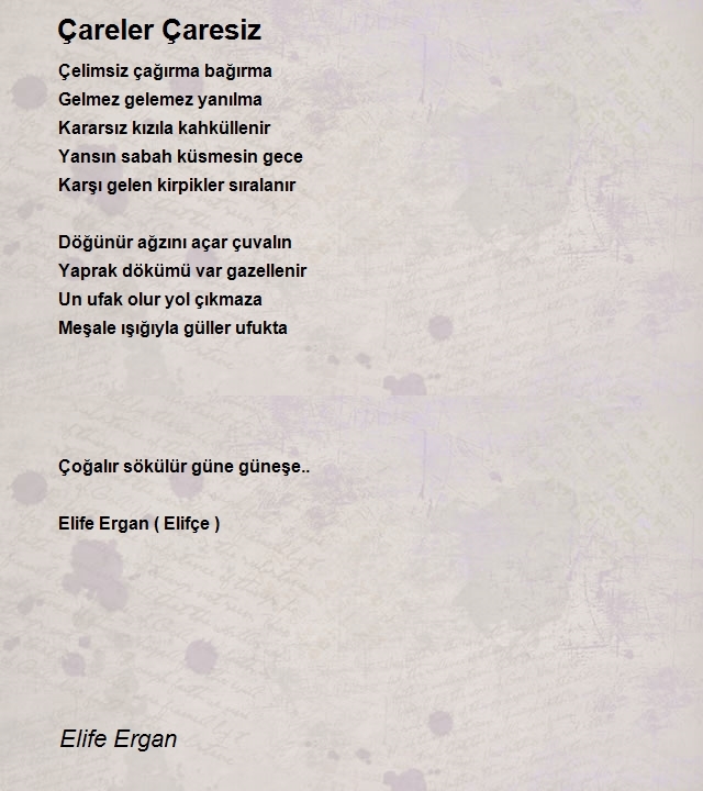 Elife Ergan