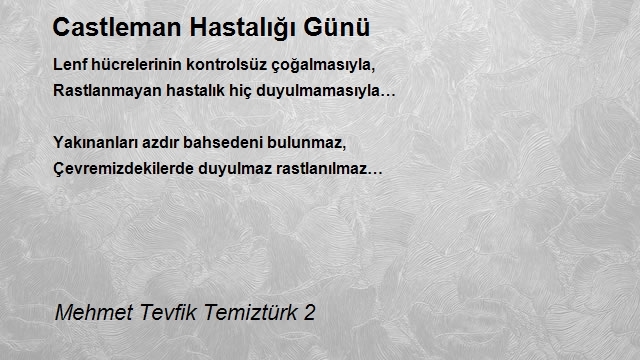 Mehmet Tevfik Temiztürk 2