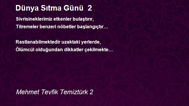 Mehmet Tevfik Temiztürk 2