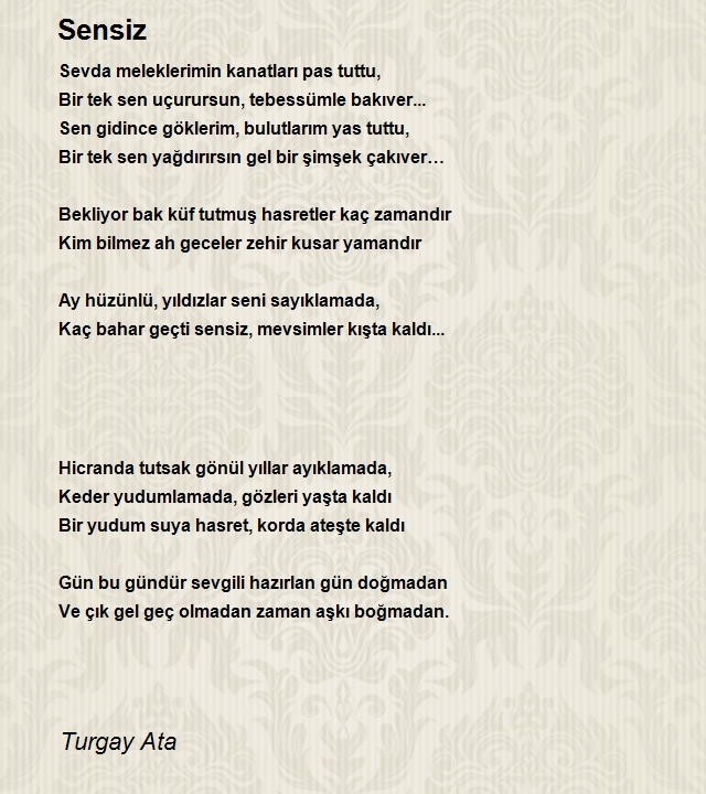 Turgay Ata