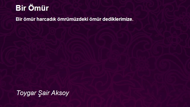 Toygar Şair Aksoy