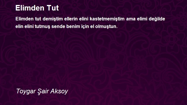 Toygar Şair Aksoy