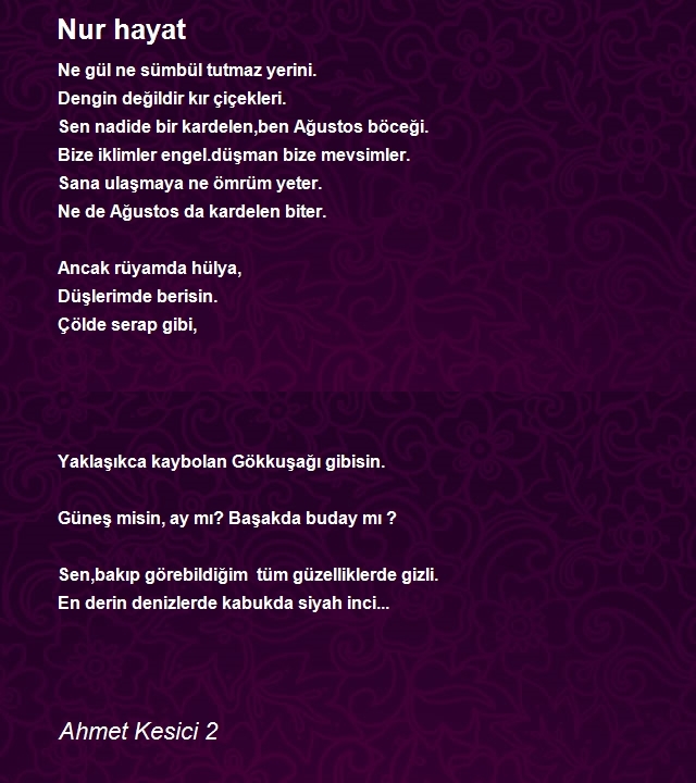 Ahmet Kesici 2