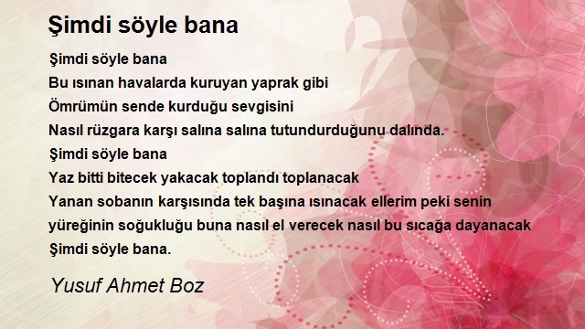 Yusuf Ahmet Boz