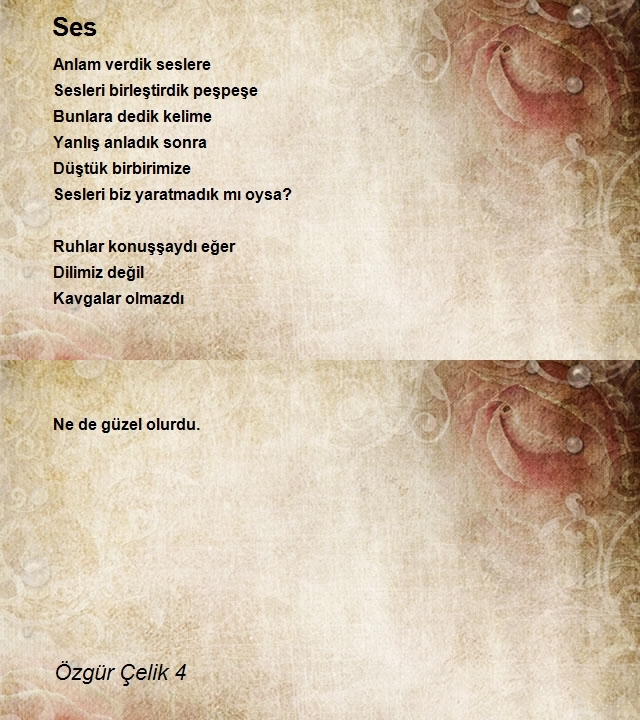 Özgür Çelik 4