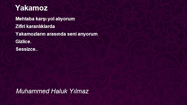 Muhammed Haluk Yılmaz