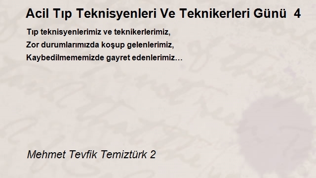 Mehmet Tevfik Temiztürk 2