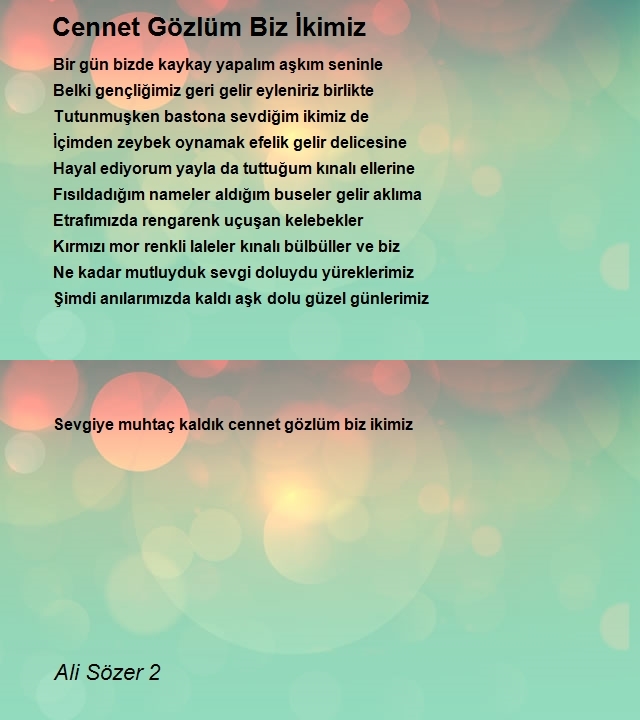 Ali Sözer 2