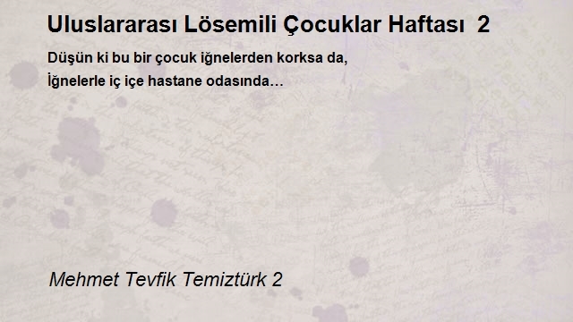 Mehmet Tevfik Temiztürk 2