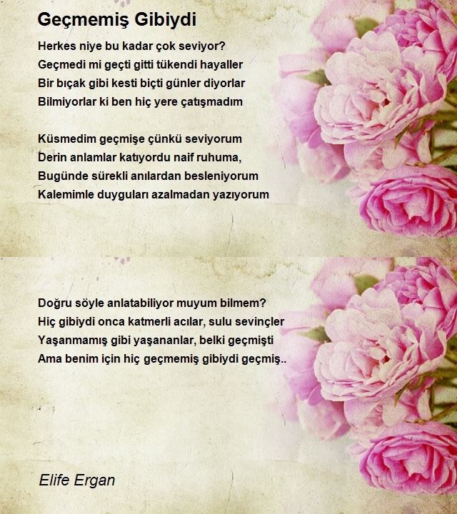 Elife Ergan