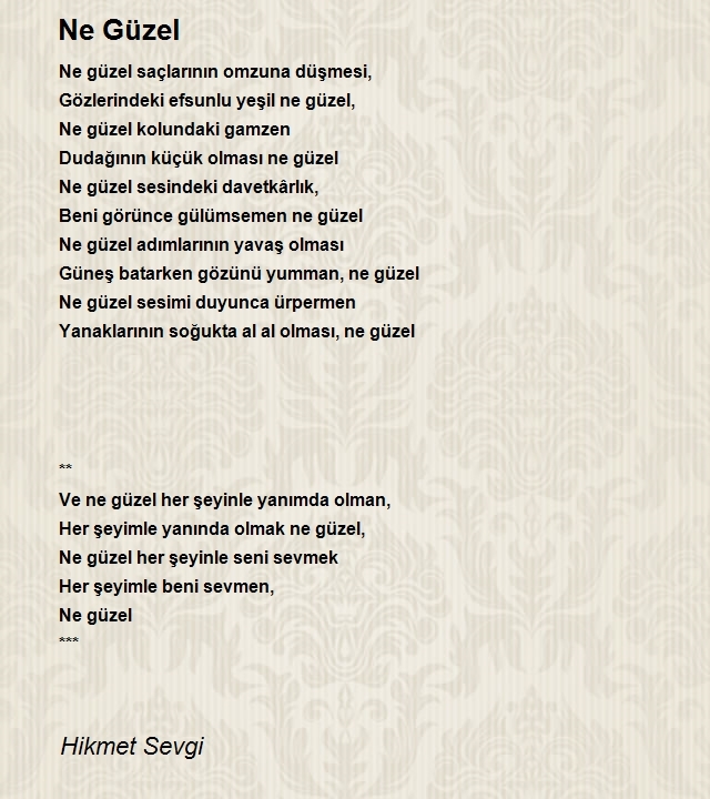 Hikmet Sevgi