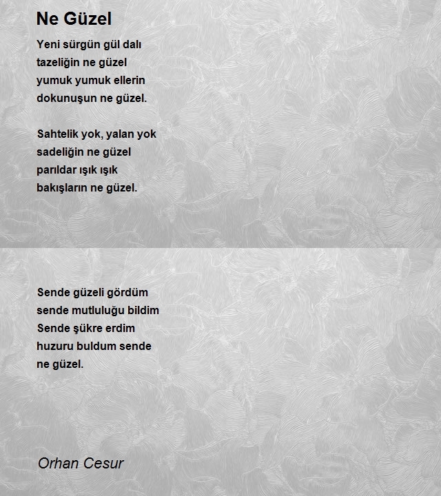 Orhan Cesur