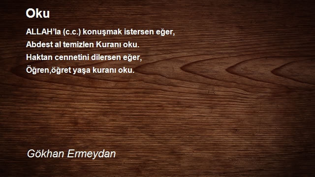 Gökhan Ermeydan 2