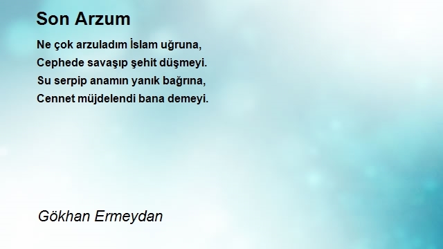 Gökhan Ermeydan 2