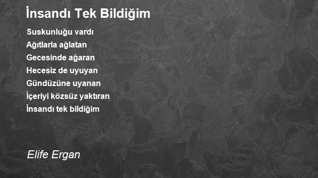 Elife Ergan