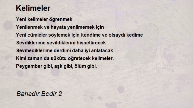 Bahadır Bedir 2