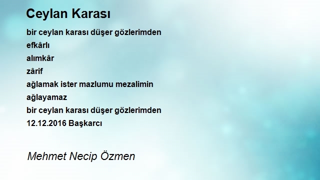 Mehmet Necip Özmen