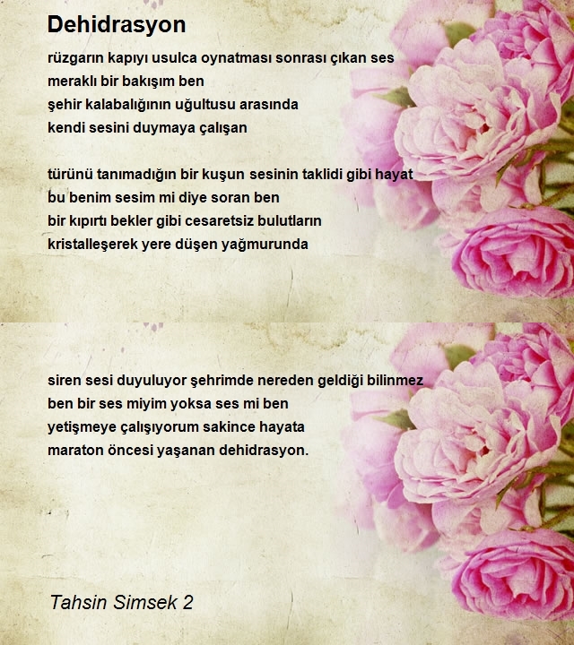 Tahsin Simsek 2