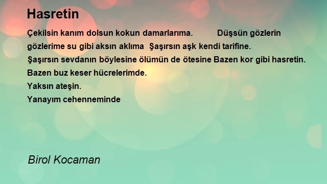 Birol Kocaman