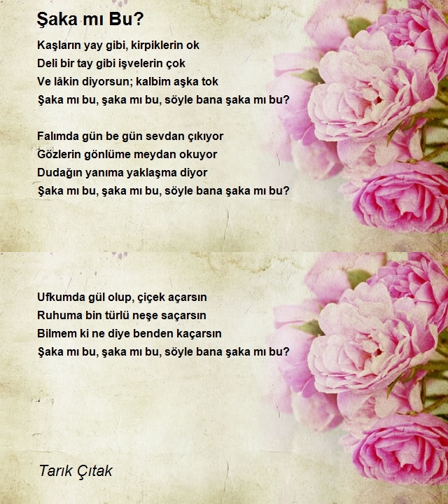 Tarık Çıtak