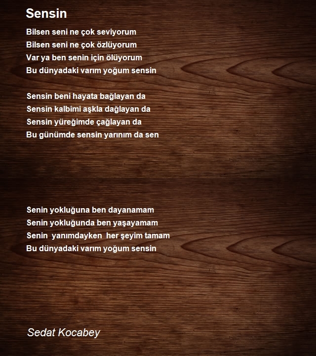 Sedat Kocabey