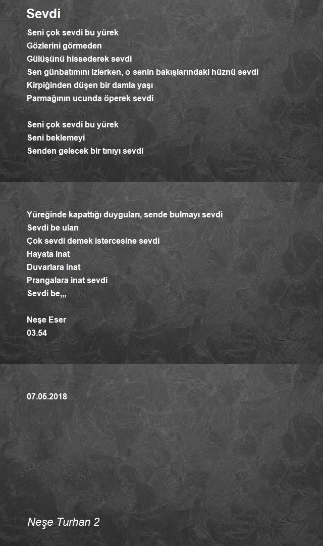 Neşe Turhan 2